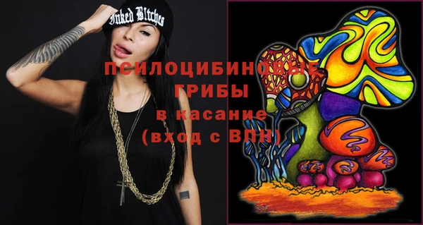 меф Богородицк