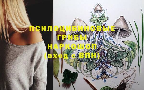 скорость Гусев