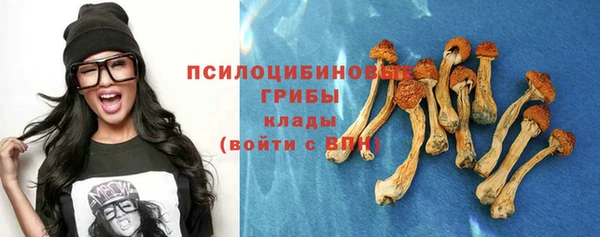 mdpv Горняк