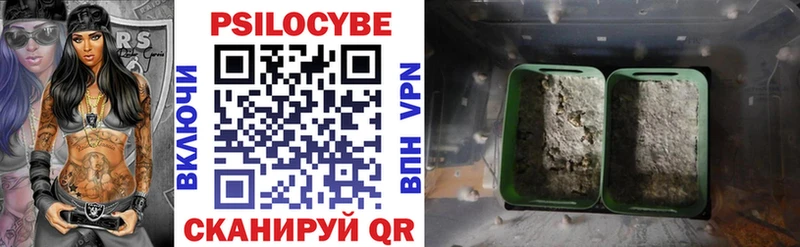 Псилоцибиновые грибы ЛСД  Купить где  Кореновск 
